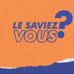 lesaviezvous